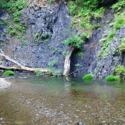 １匹目が川サバ ～長良川水系～